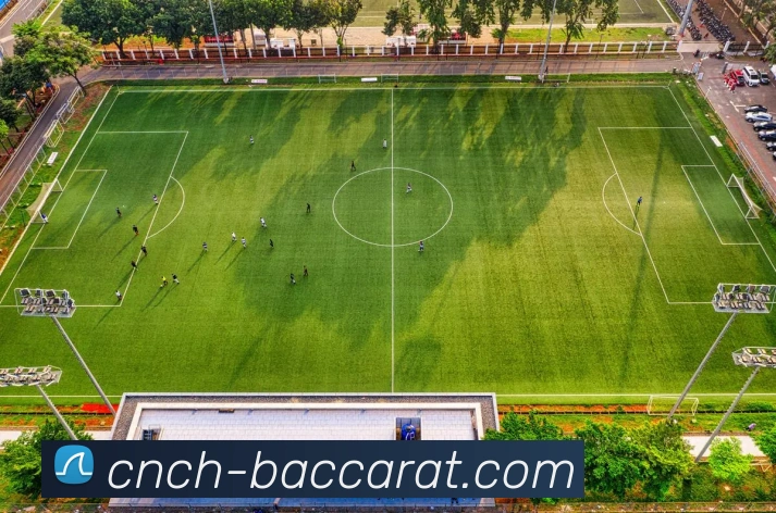 百家乐官网服务体系